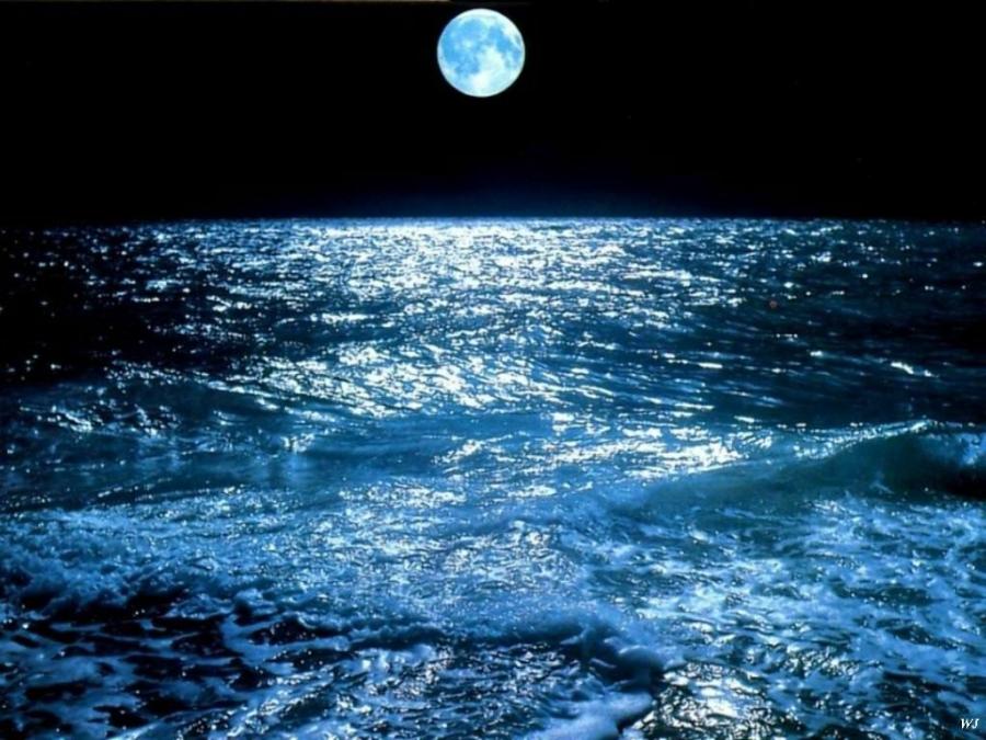 tide-of-moon-and-sea2.jpg
